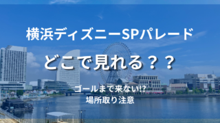 【2026】横浜ディズニーSPパレード攻略｜場所取り・混雑・見える場所まとめ