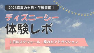 【2026年8月】親子ディズニー体験レポ｜アクアトピア乗り納めと午後から豪雨の一日